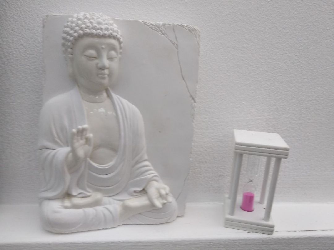 Дмитров, СВО, Проект