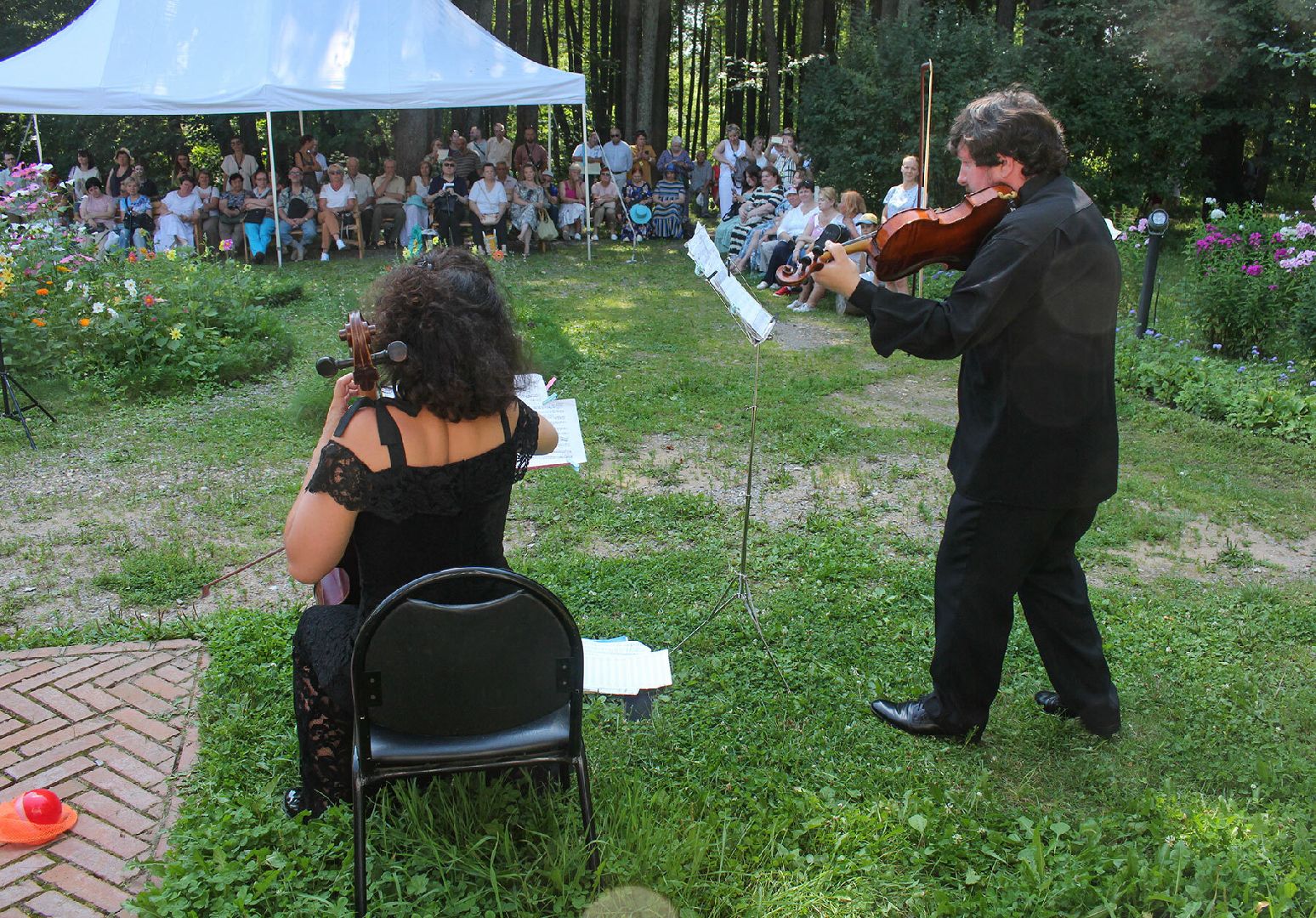 Солнечногорск, Шахматово, Блок, поэзия, культура