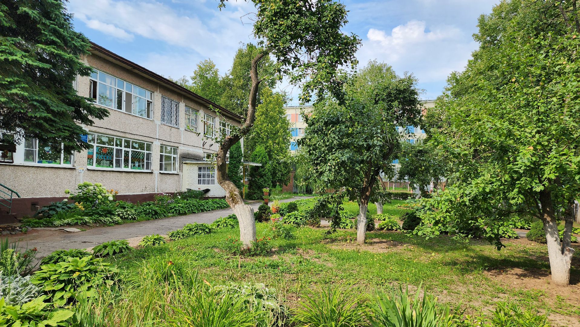 Кашира, детский экологический центр, черепаха, водоём, среда обитания