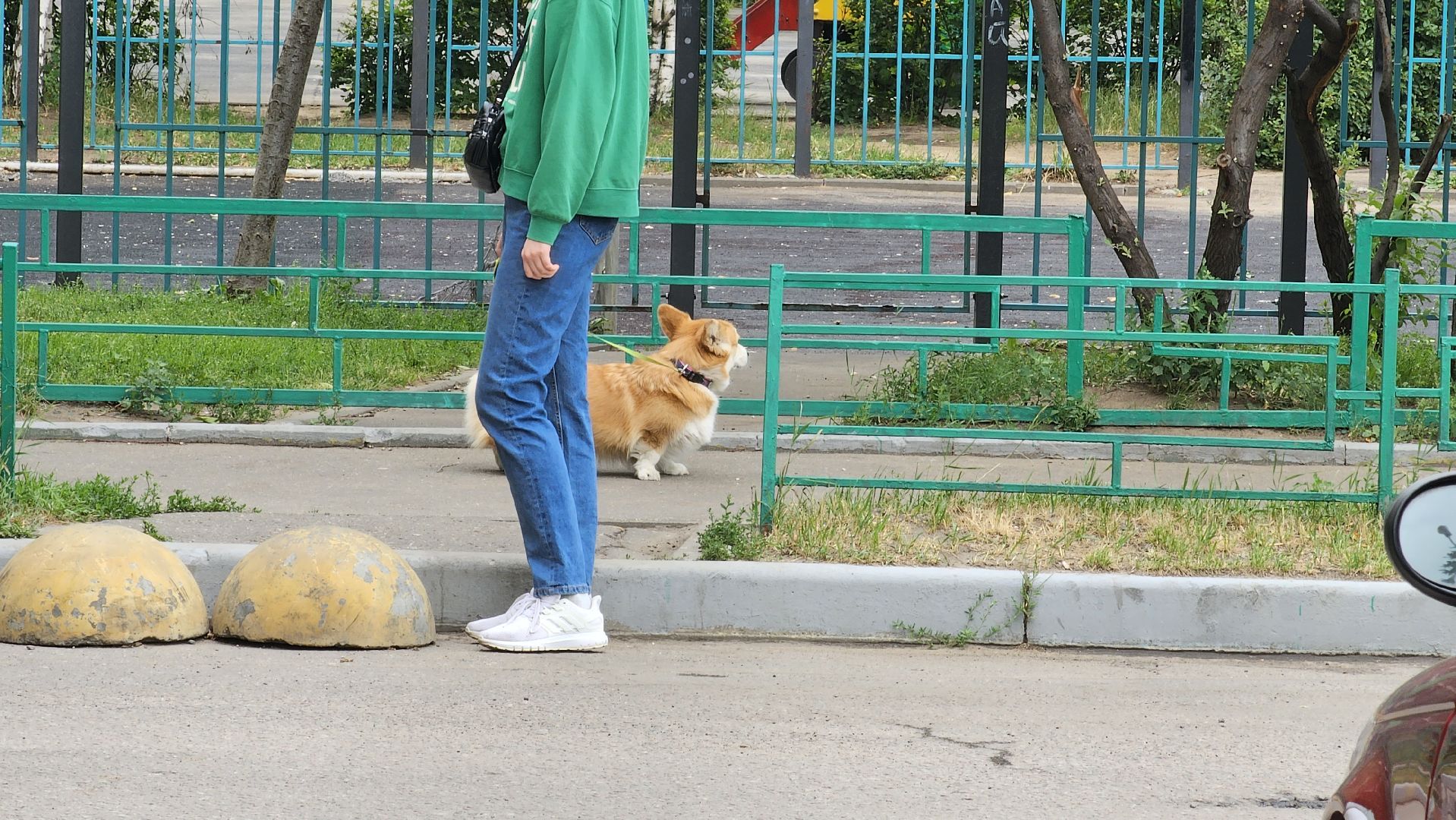 собачья площадка, благоустройство, Котельники