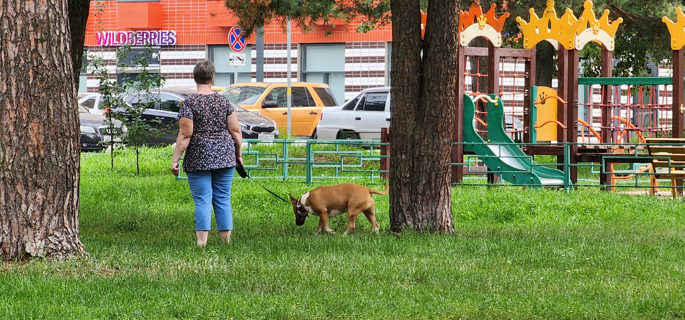 собачья площадка, благоустройство, Котельники