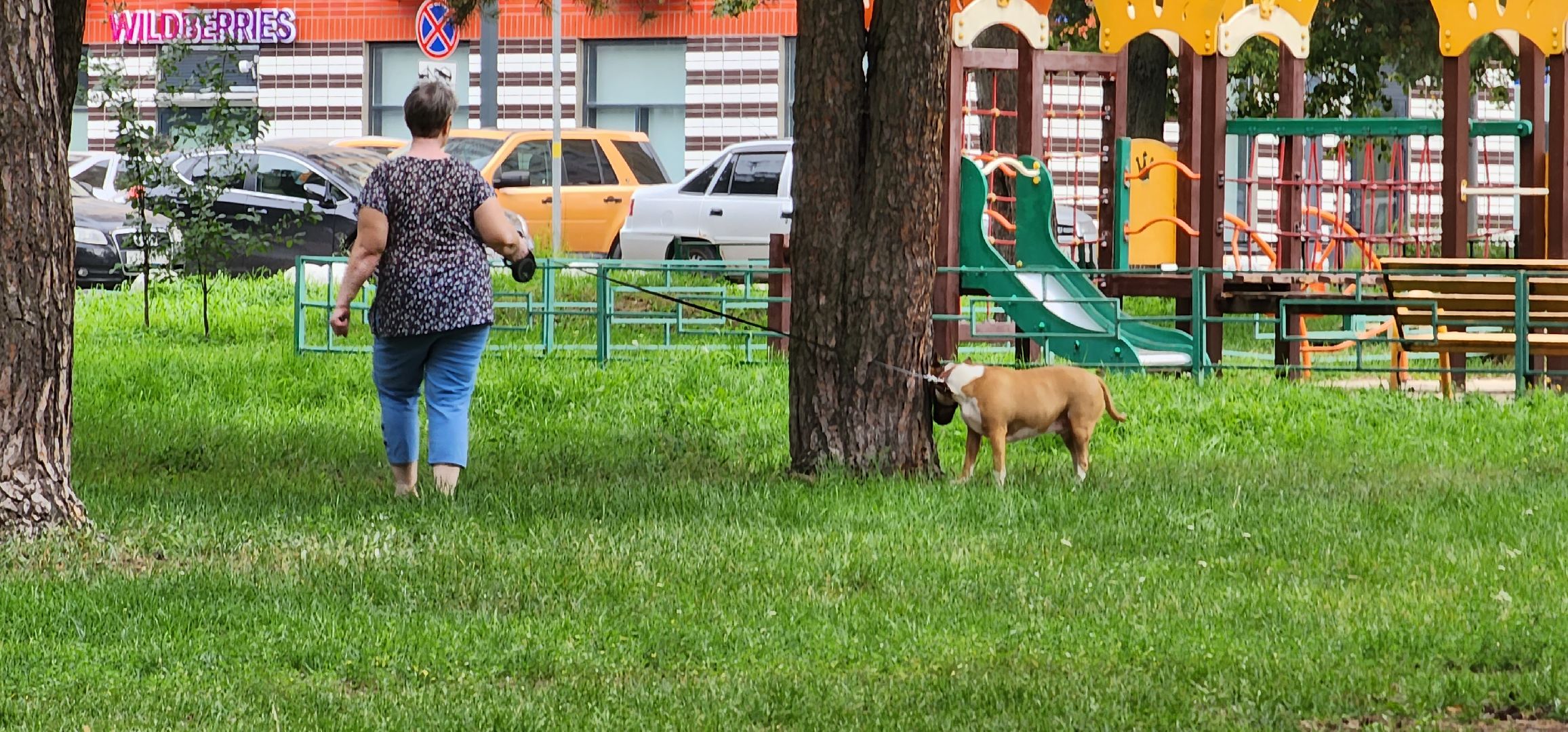 собачья площадка, благоустройство, Котельники