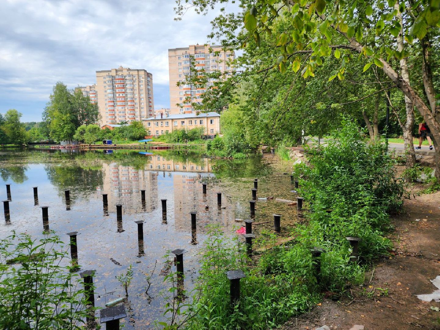 парк, благоустройство, люди, Лосино-Петровский