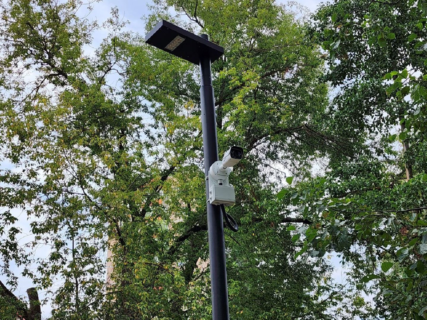 парк, благоустройство, люди, Лосино-Петровский