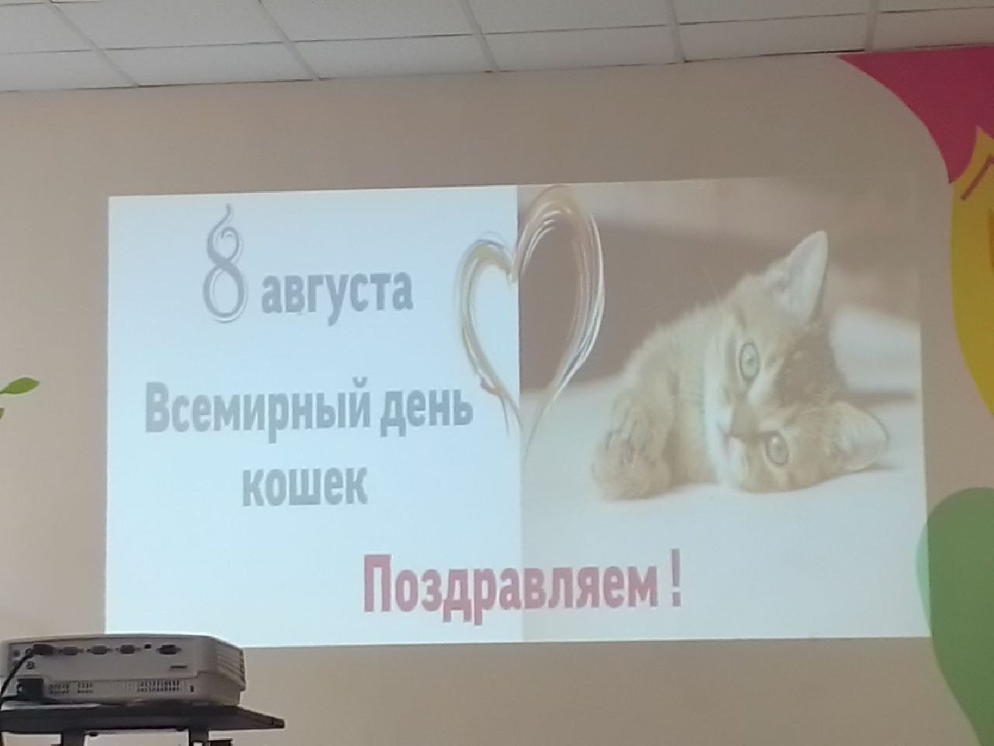 Чехов, культура, день кошек, мероприятие, библиотека, дети