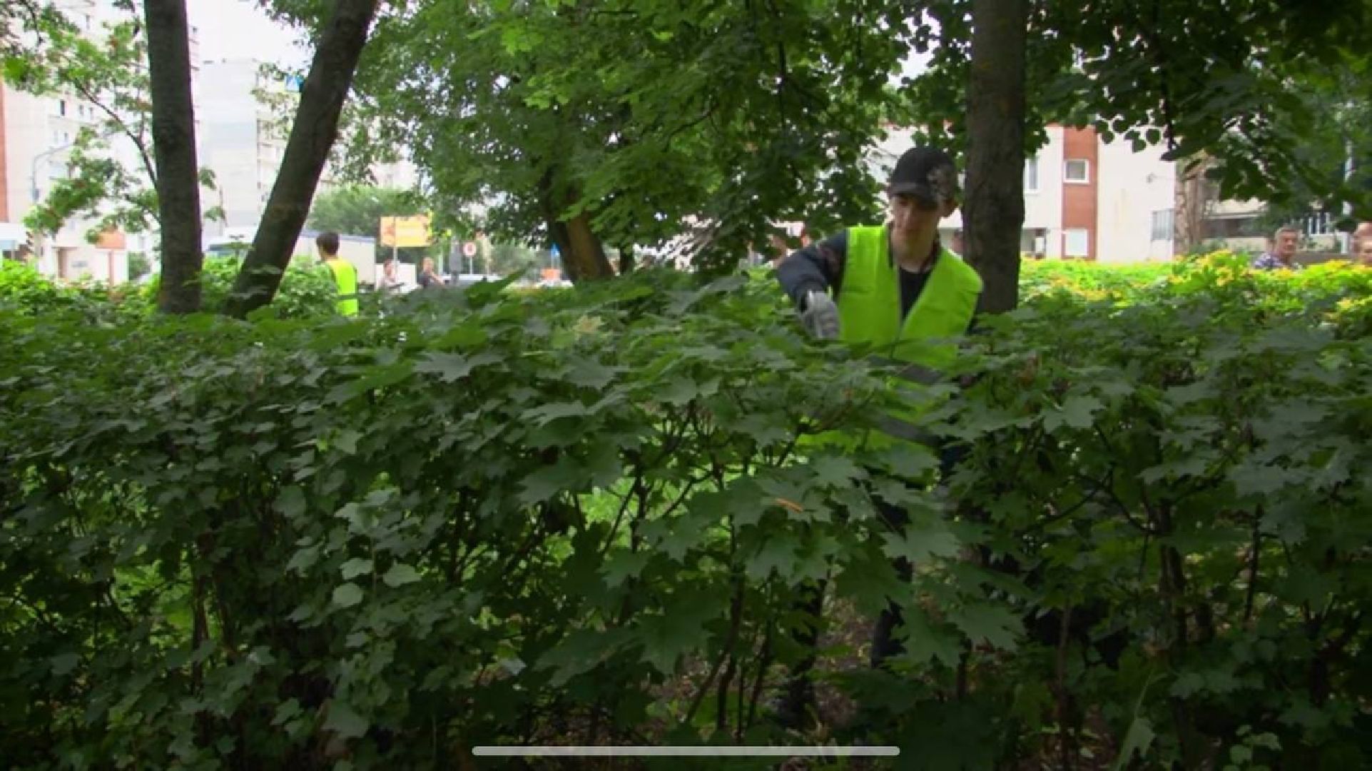 работадляподростков