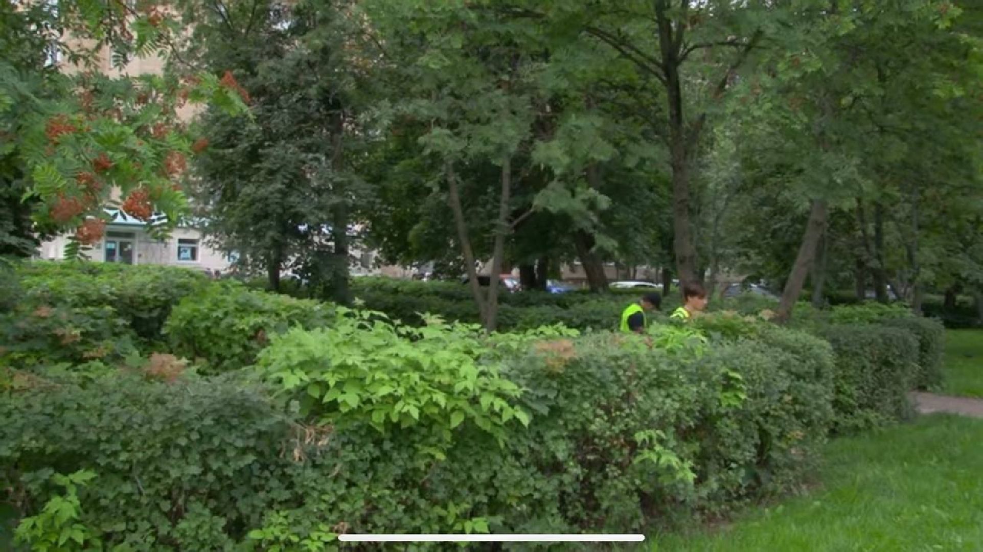 работадляподростков