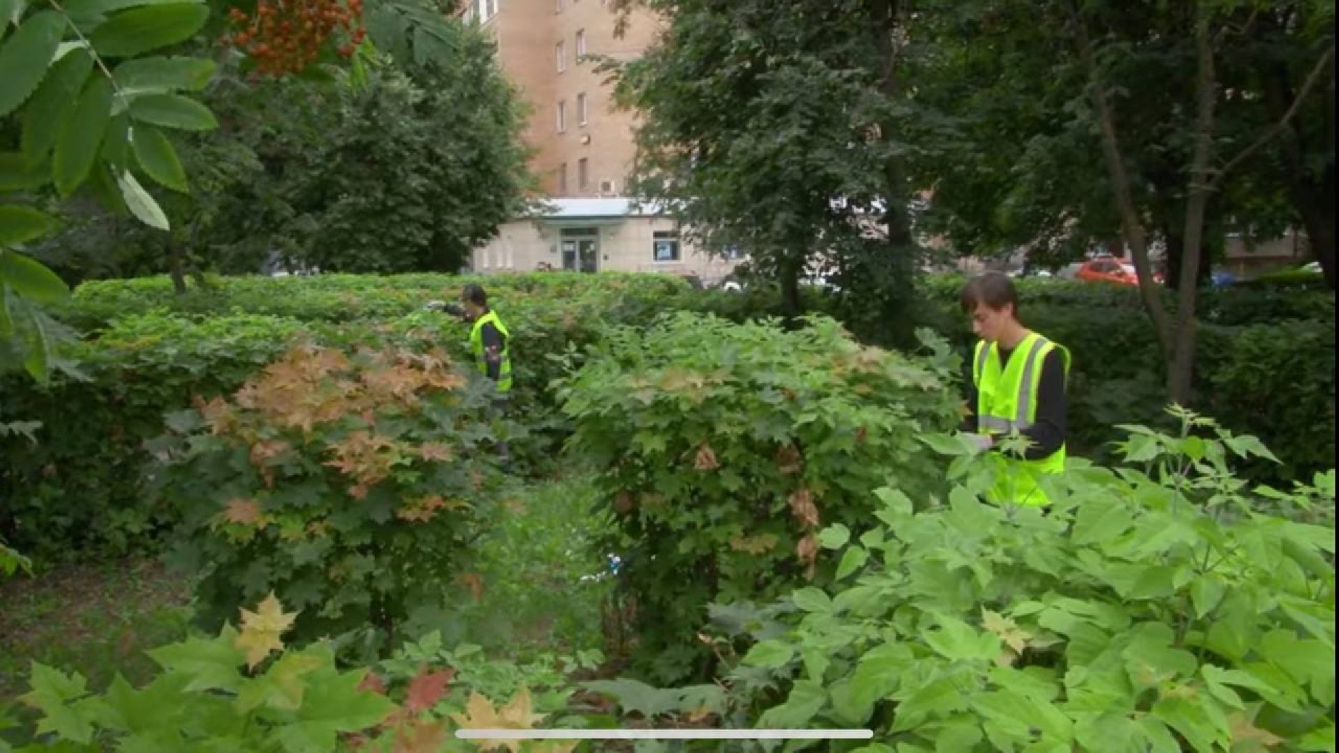 работадляподростков