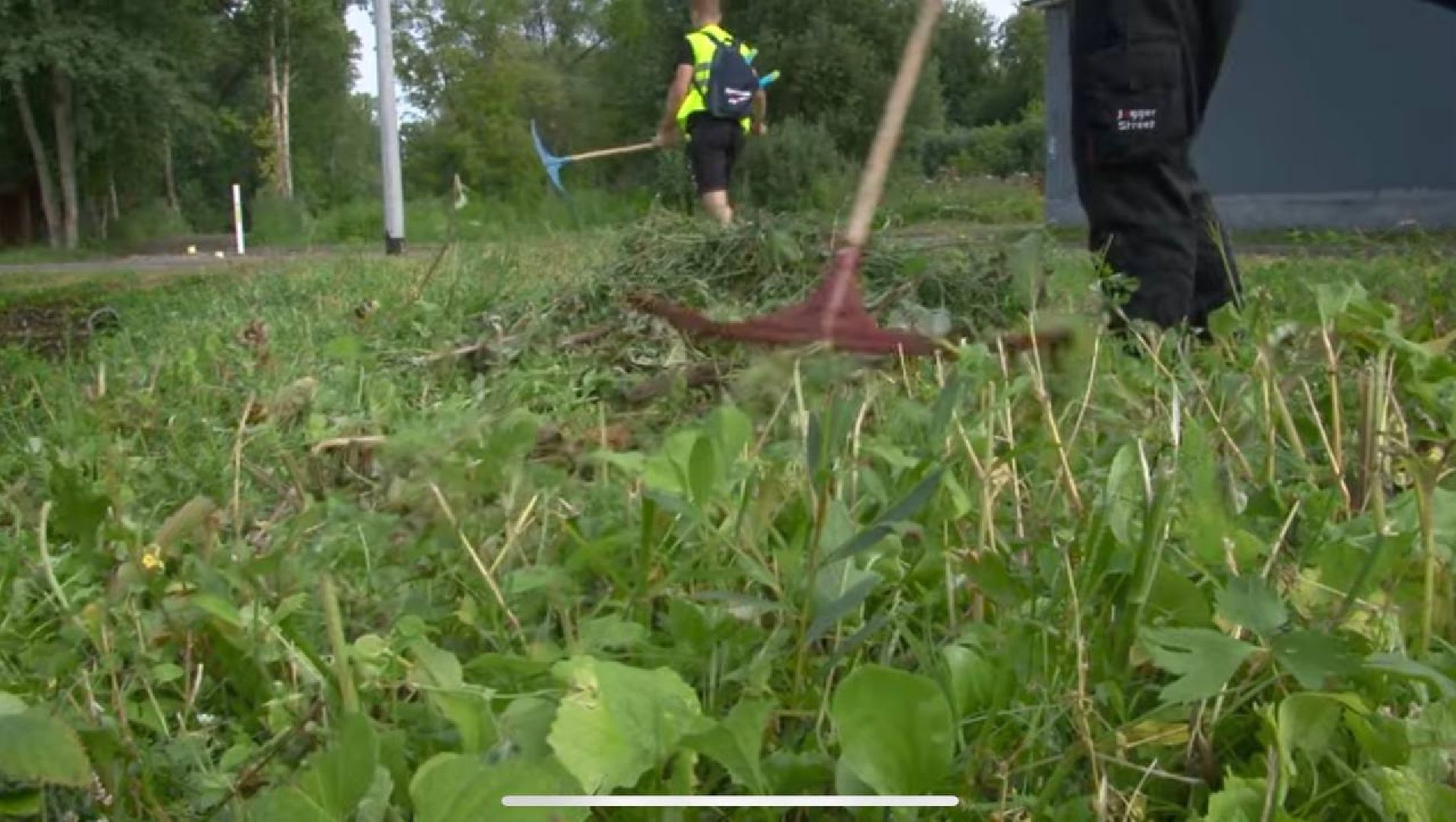 работадляподростков