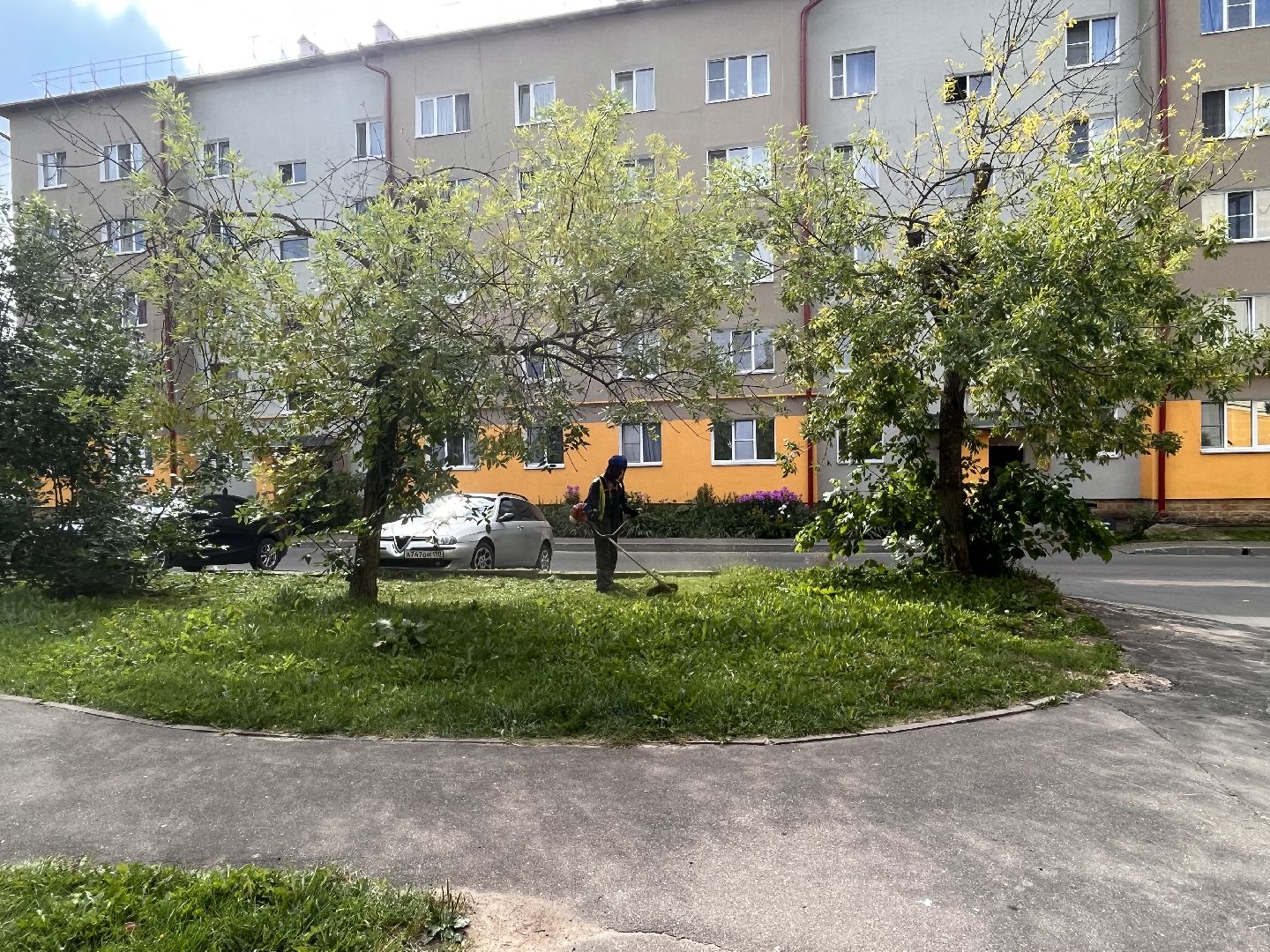 Шаховская, покос, трава