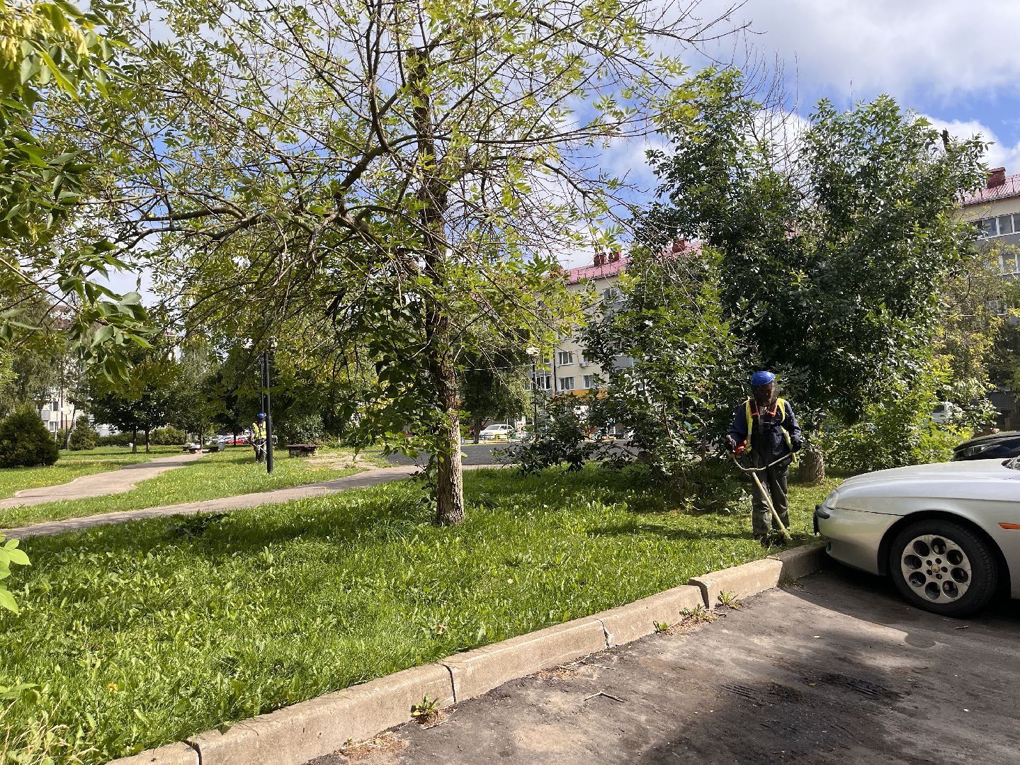 Шаховская, покос, трава