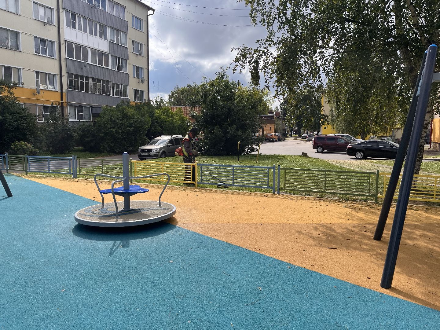 Шаховская, покос, трава