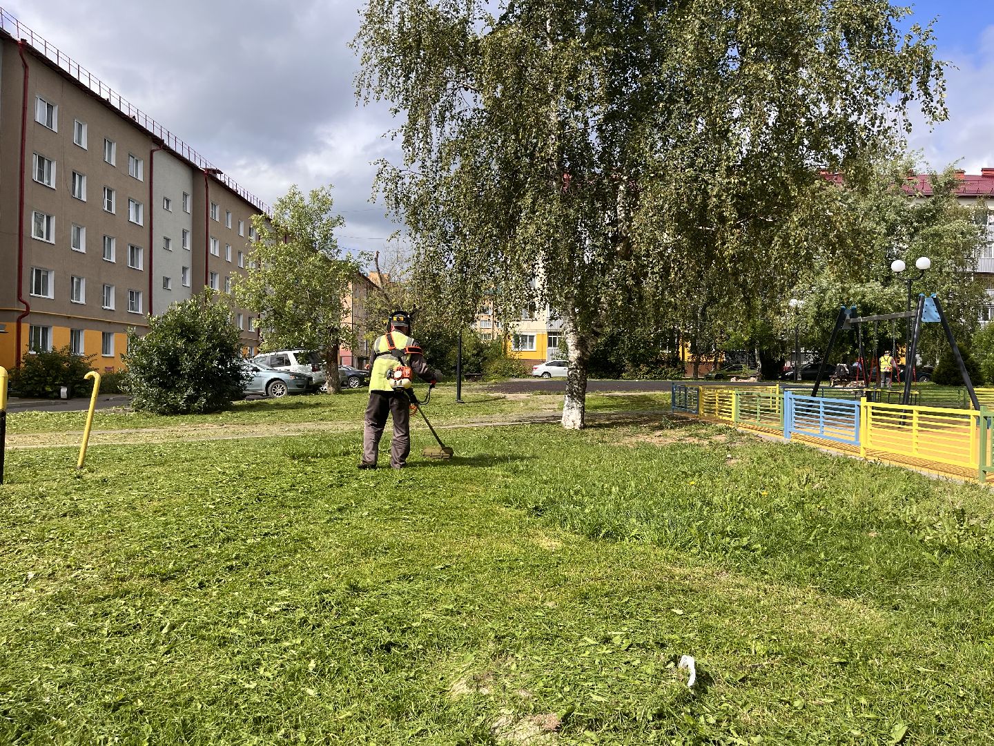 Шаховская, покос, трава