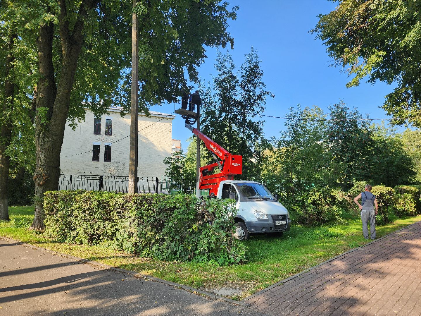 Подольск, благоустройство, дерево, безопасность