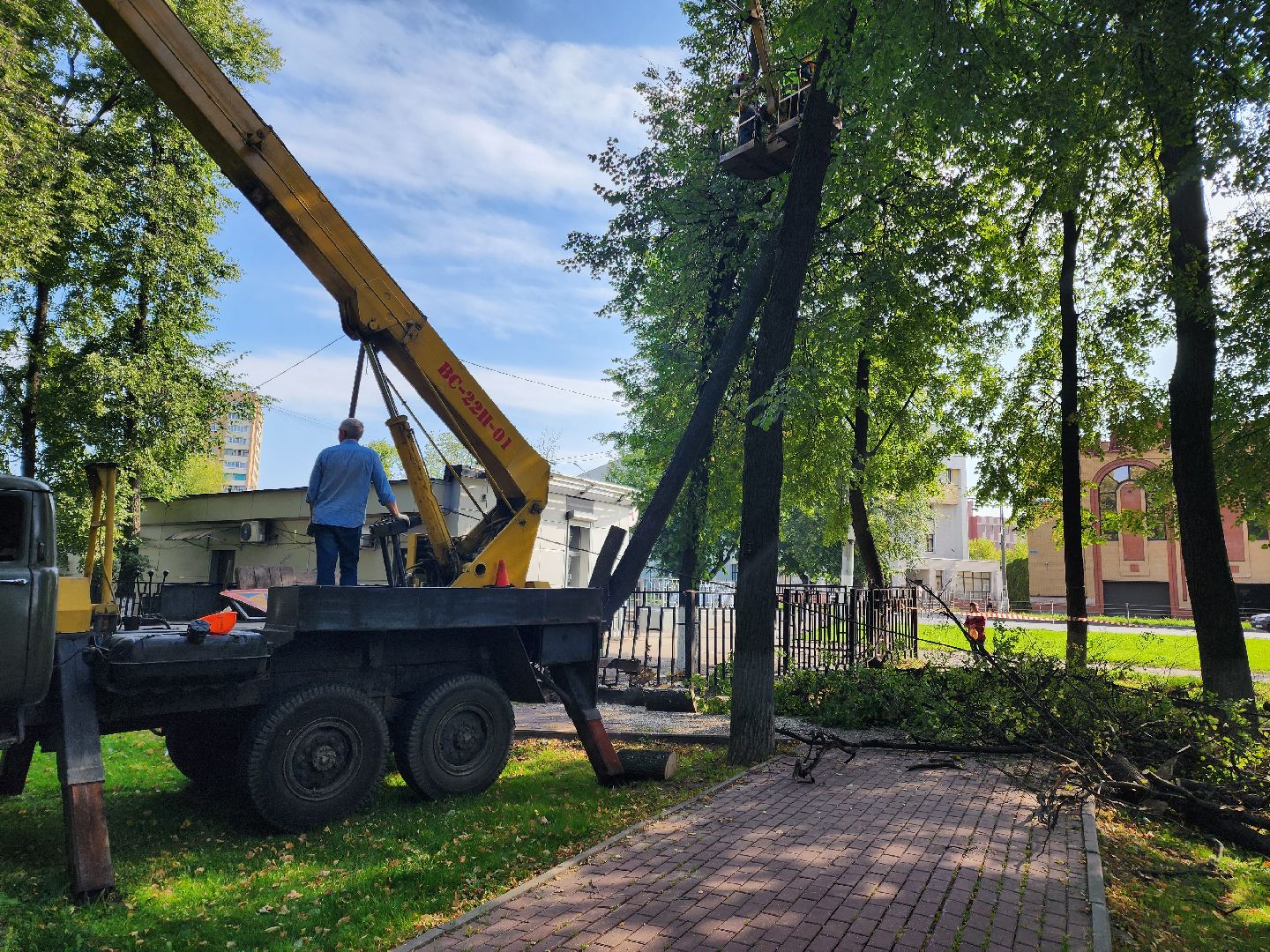 Подольск, благоустройство, дерево, безопасность