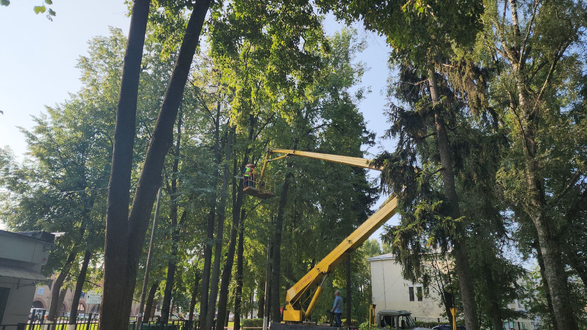 Подольск, благоустройство, дерево, безопасность