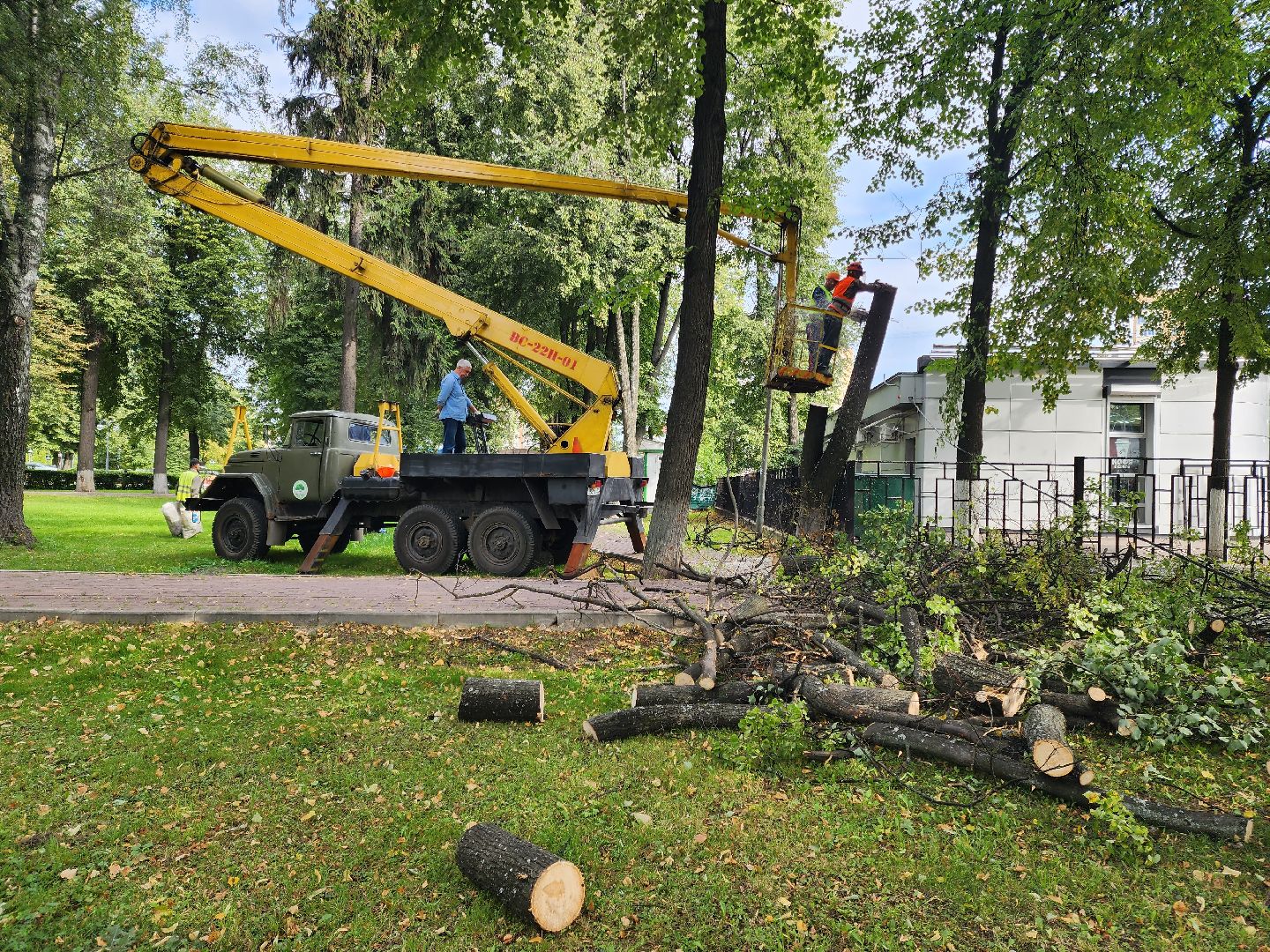 Подольск, благоустройство, дерево, безопасность