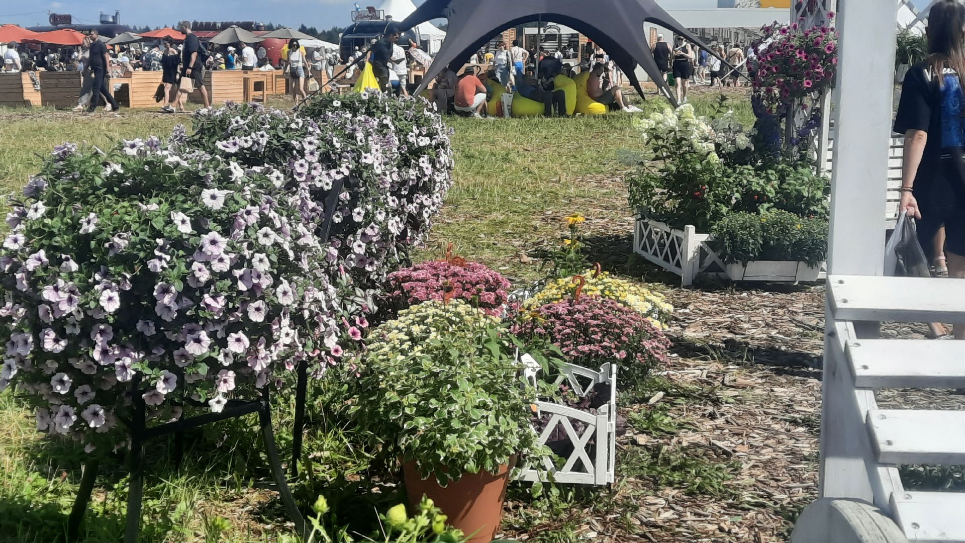 Звенигород, туризм, фермерство, эко-продукция