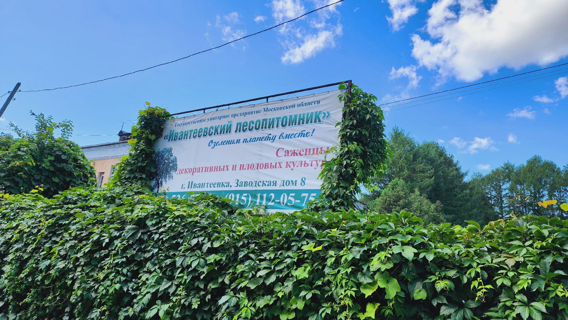 Подмосковье, Ивантеевка, сельское хозяйство,