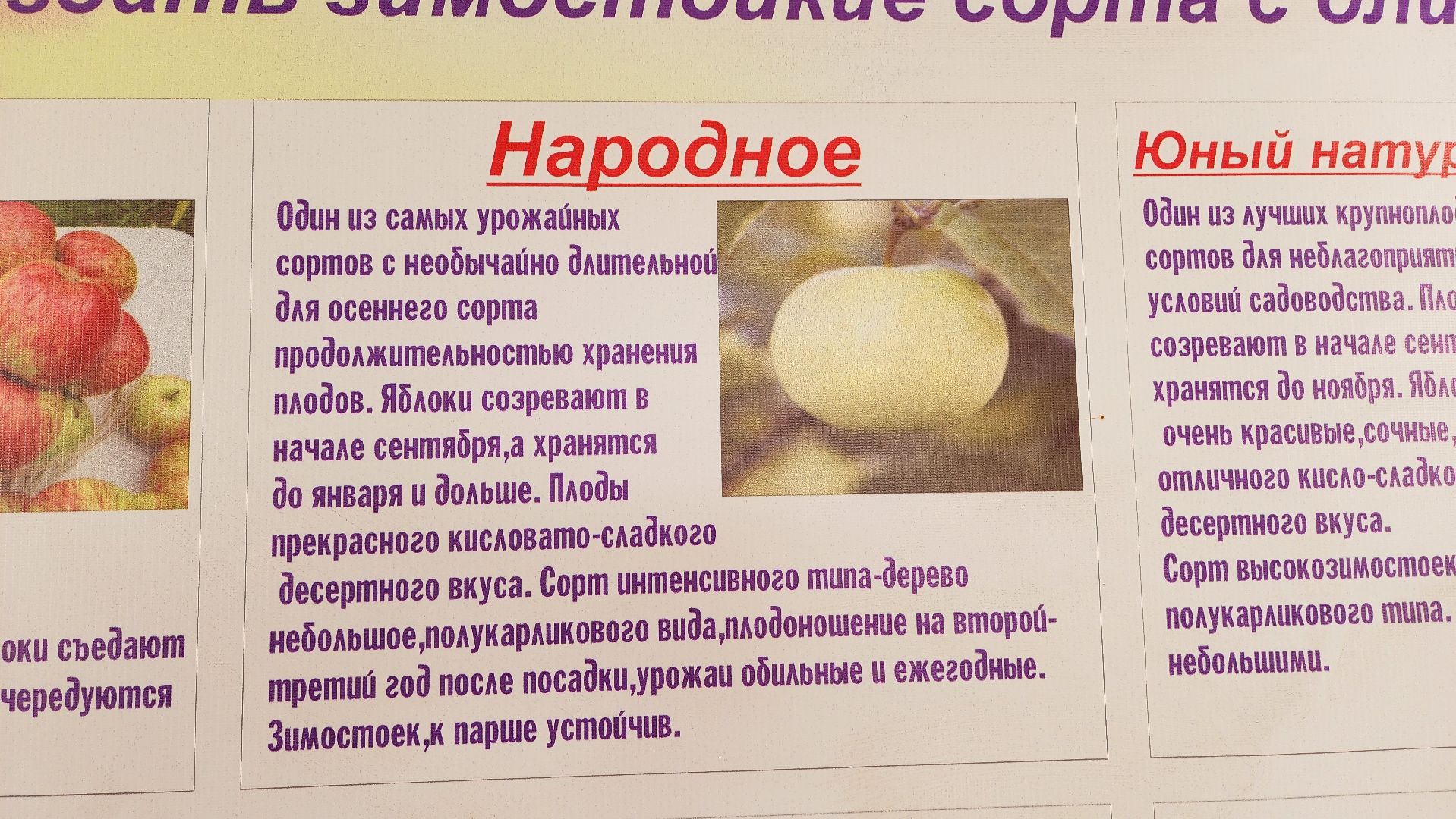 Подмосковье, Ивантеевка, сельское хозяйство,