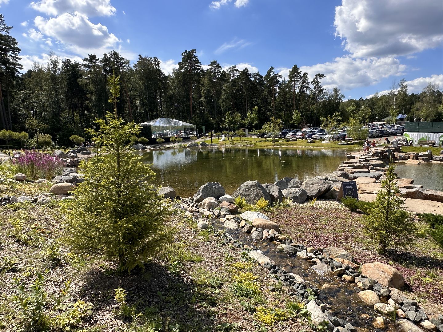 Одинцово, Малевич, Парки Подмосковья