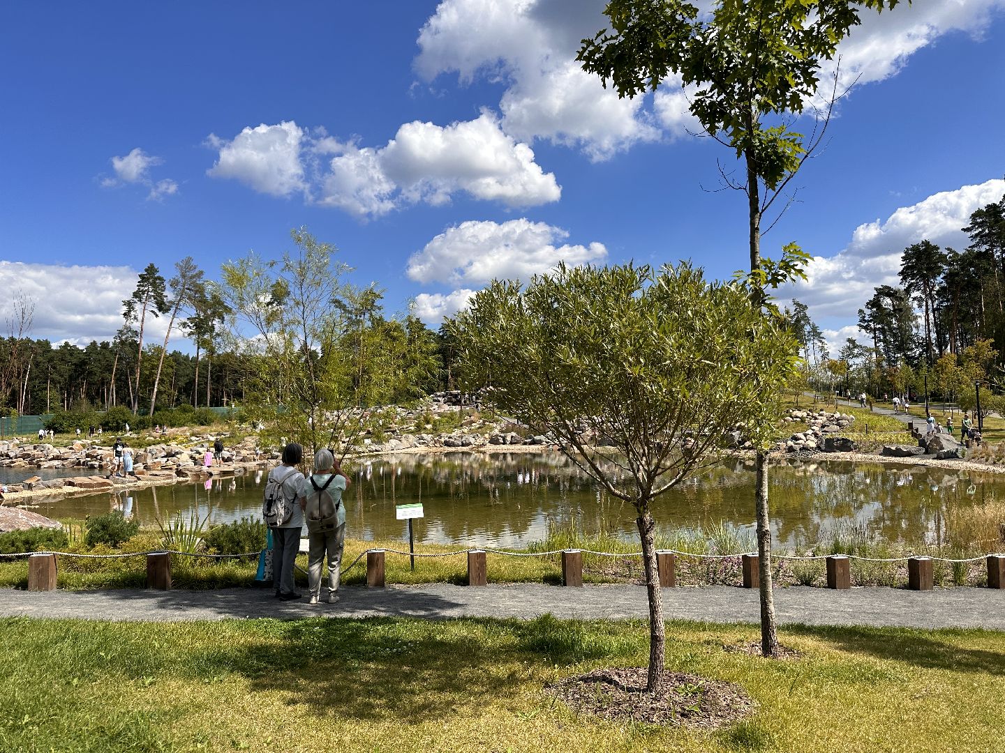Одинцово, Малевич, Парки Подмосковья