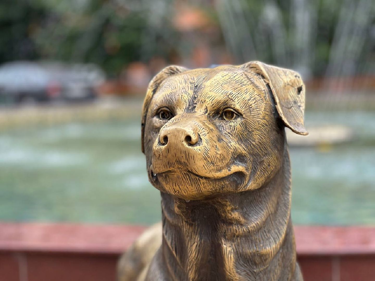 Реутов, сквер, фонтан, собака, ротвейлер, нос