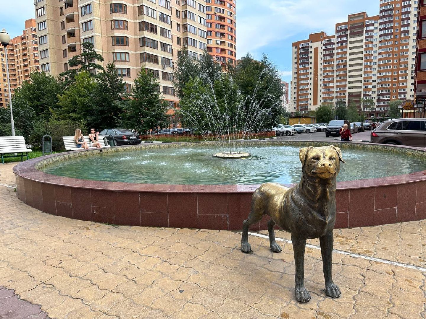 Реутов, сквер, фонтан, собака, ротвейлер, нос