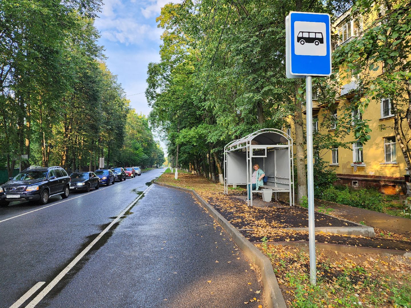 пушкино, доброе дело, благоустройство,