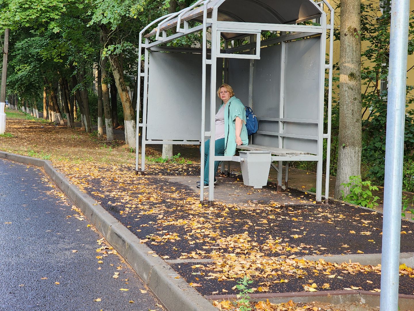 пушкино, доброе дело, благоустройство,