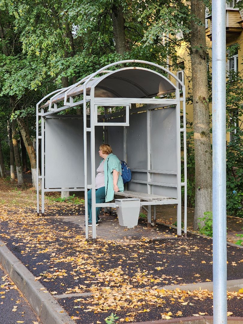 пушкино, доброе дело, благоустройство,