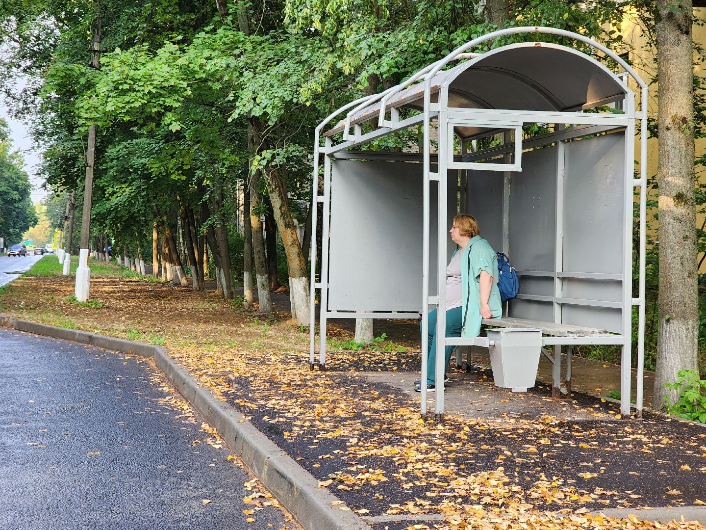 пушкино, доброе дело, благоустройство,