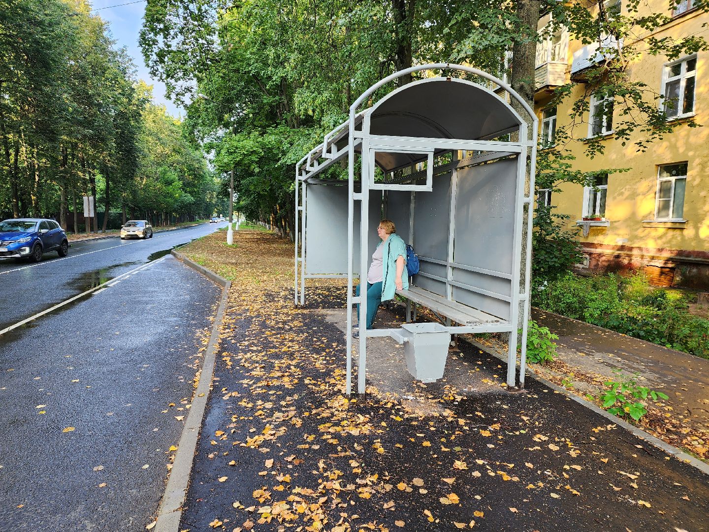 пушкино, доброе дело, благоустройство,