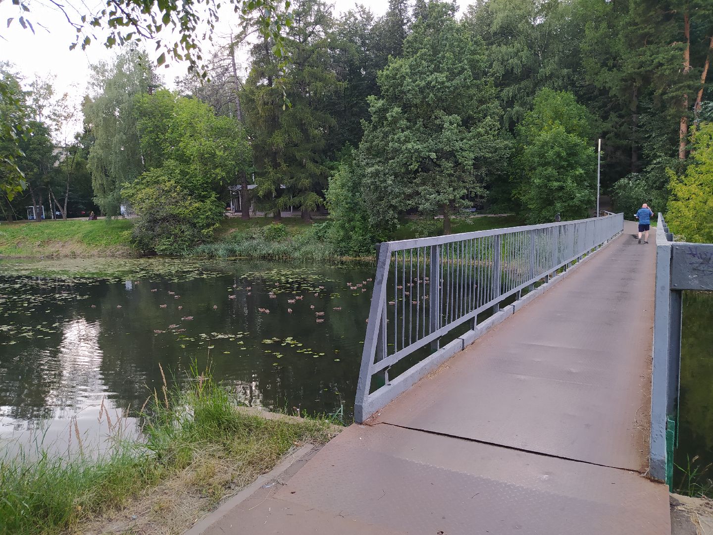 Нахабино, пруд, очистка