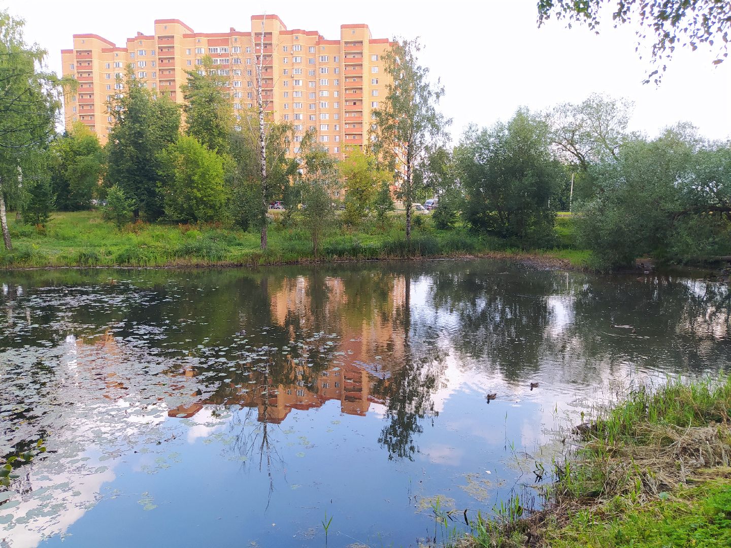 Нахабино, пруд, очистка