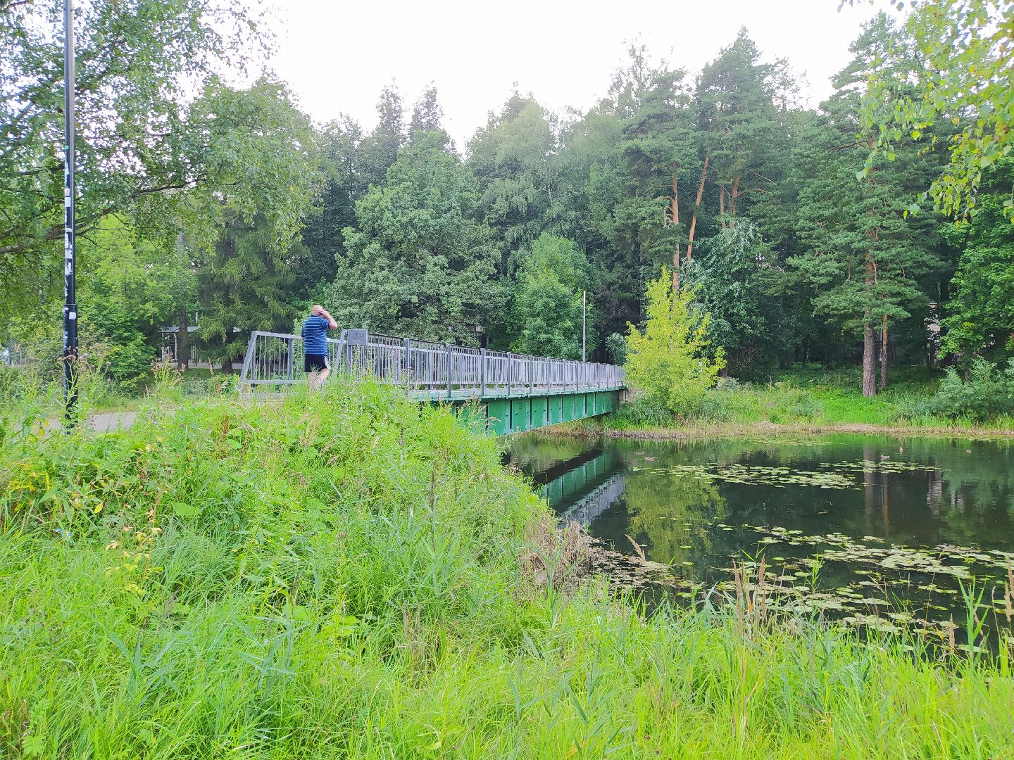 Нахабино, пруд, очистка