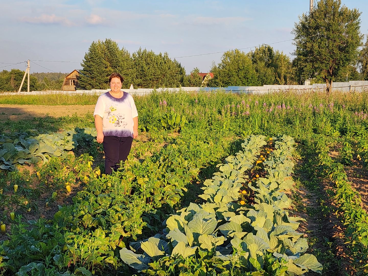 Звенигород, сельское хозяйство, садовый центр