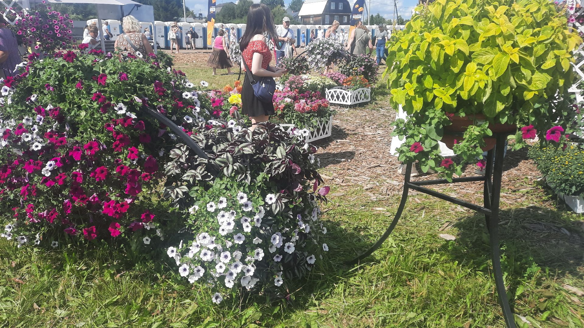 Звенигород, сельское хозяйство, садовый центр