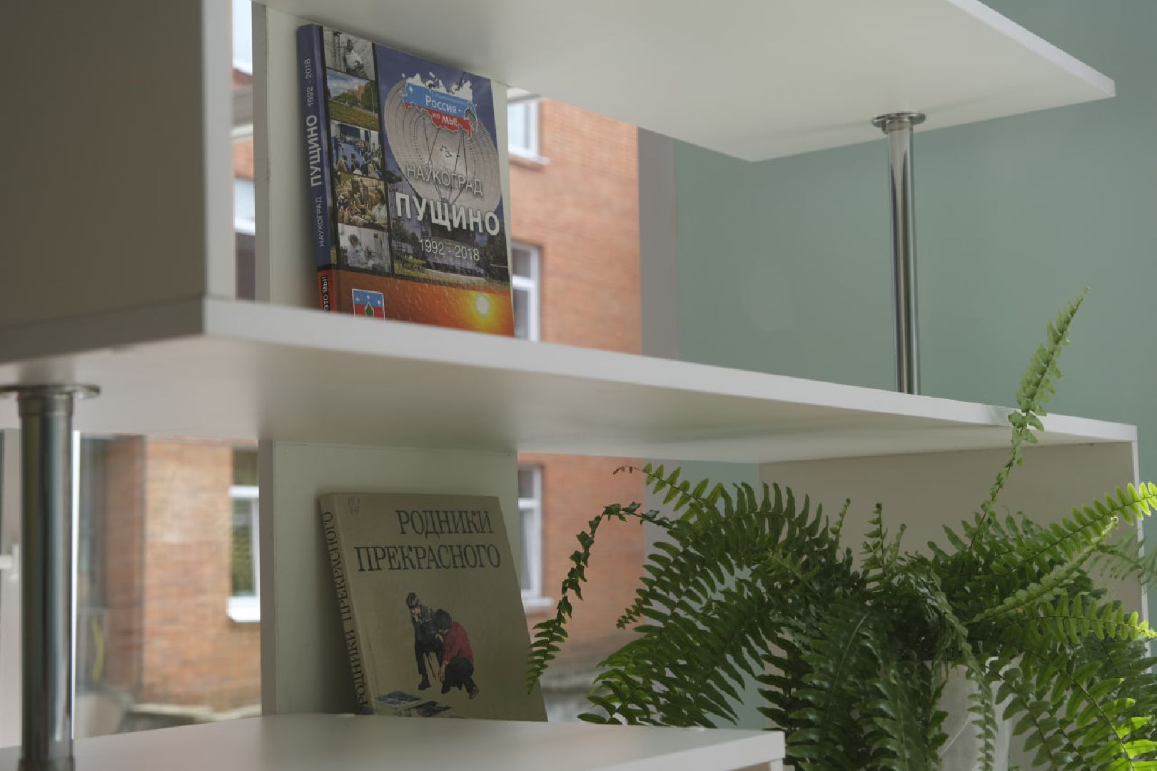 Пущино, образование