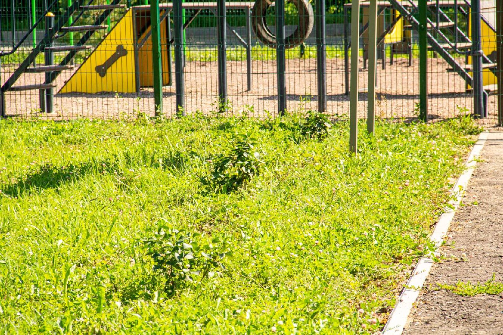 Подольск, благоустройство, население, инициатива жителей, власть