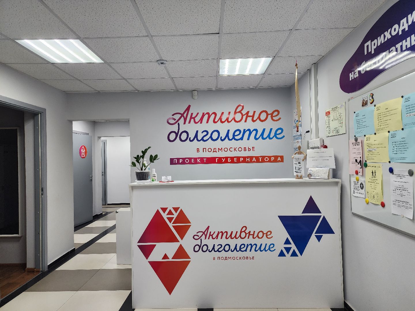 Звенигород, выборы, Активное долголетие