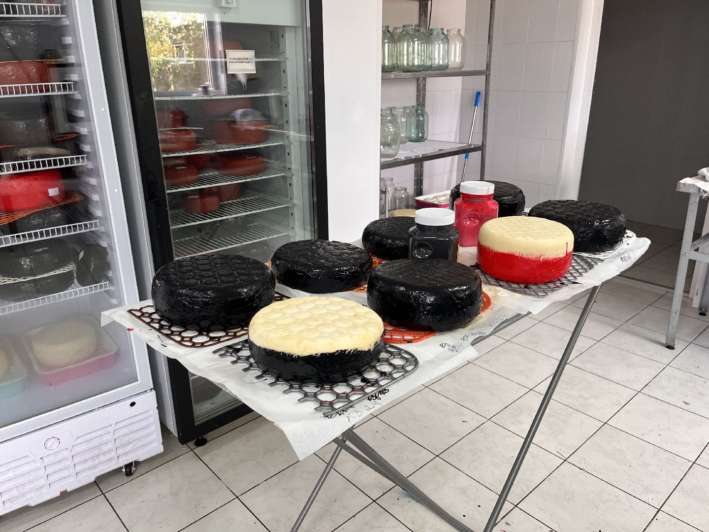 Шаховская, кфх, козы, ферма