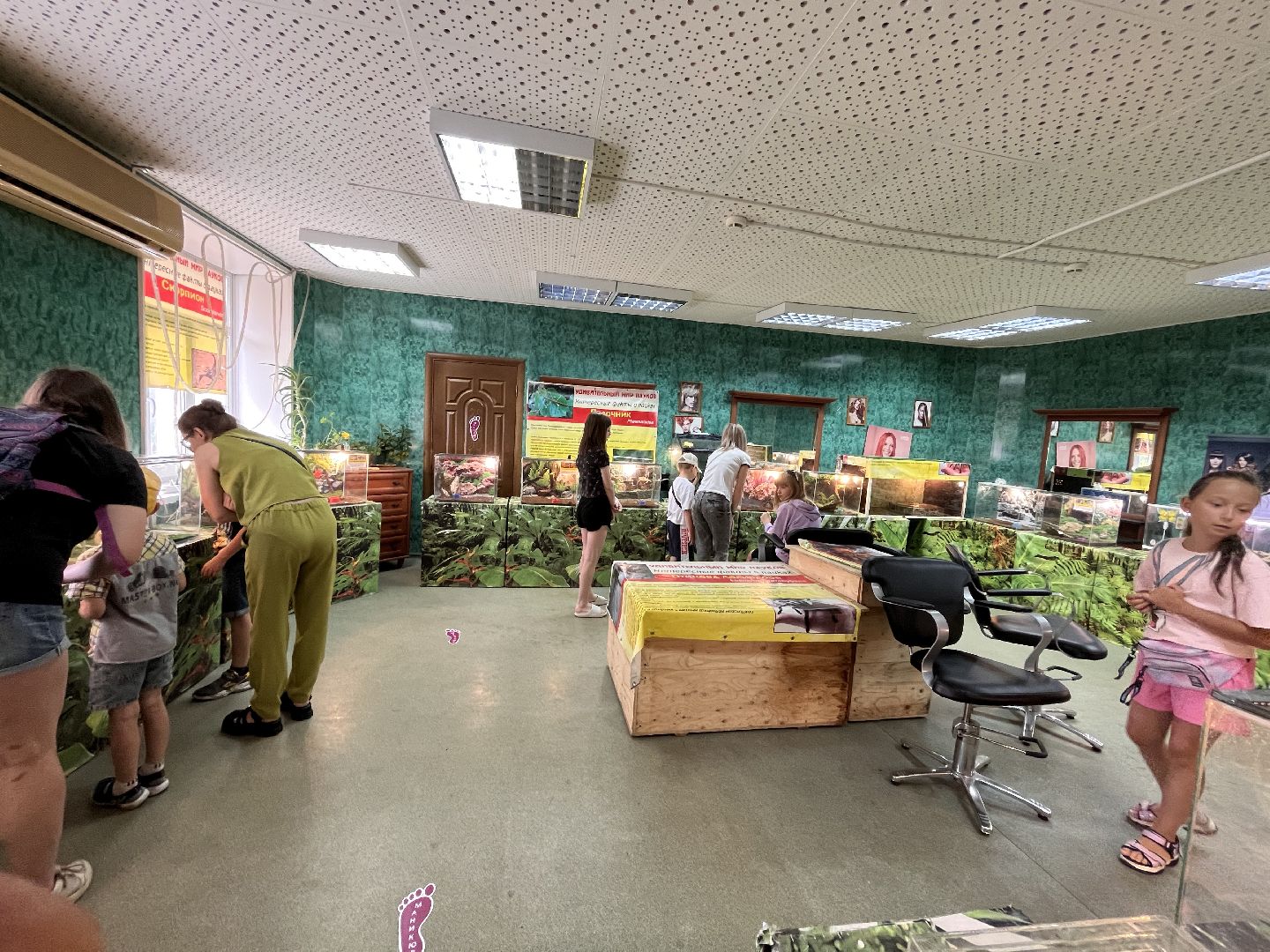 Шаховская, змеи, пауки, выставка