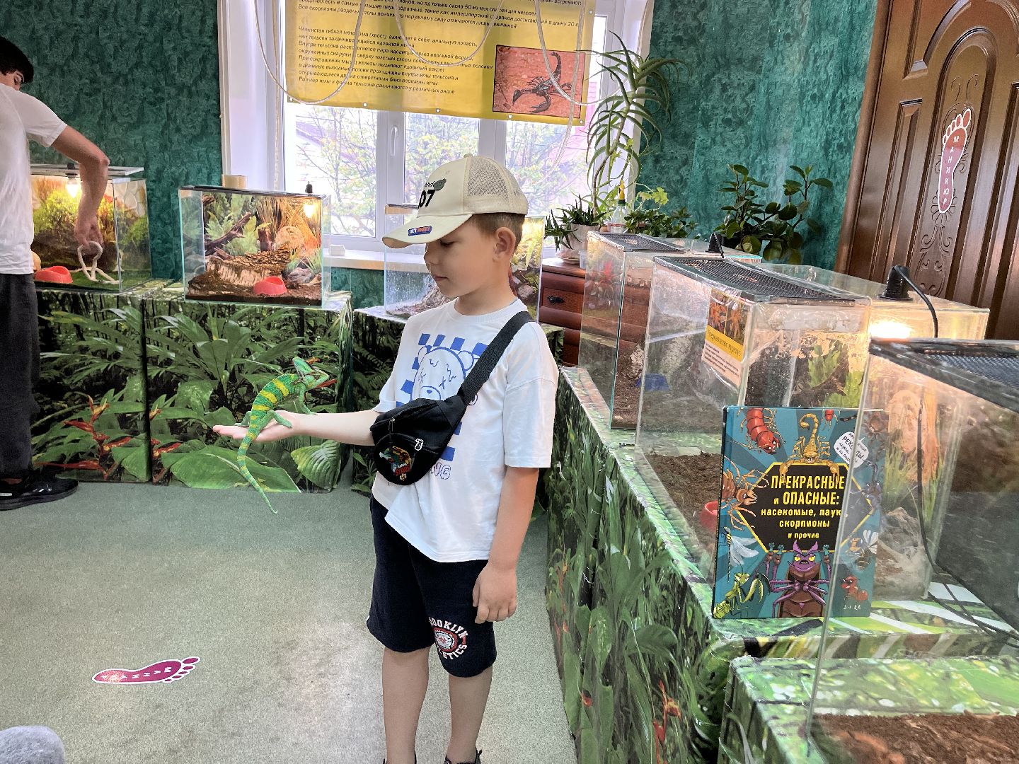 Шаховская, змеи, пауки, выставка