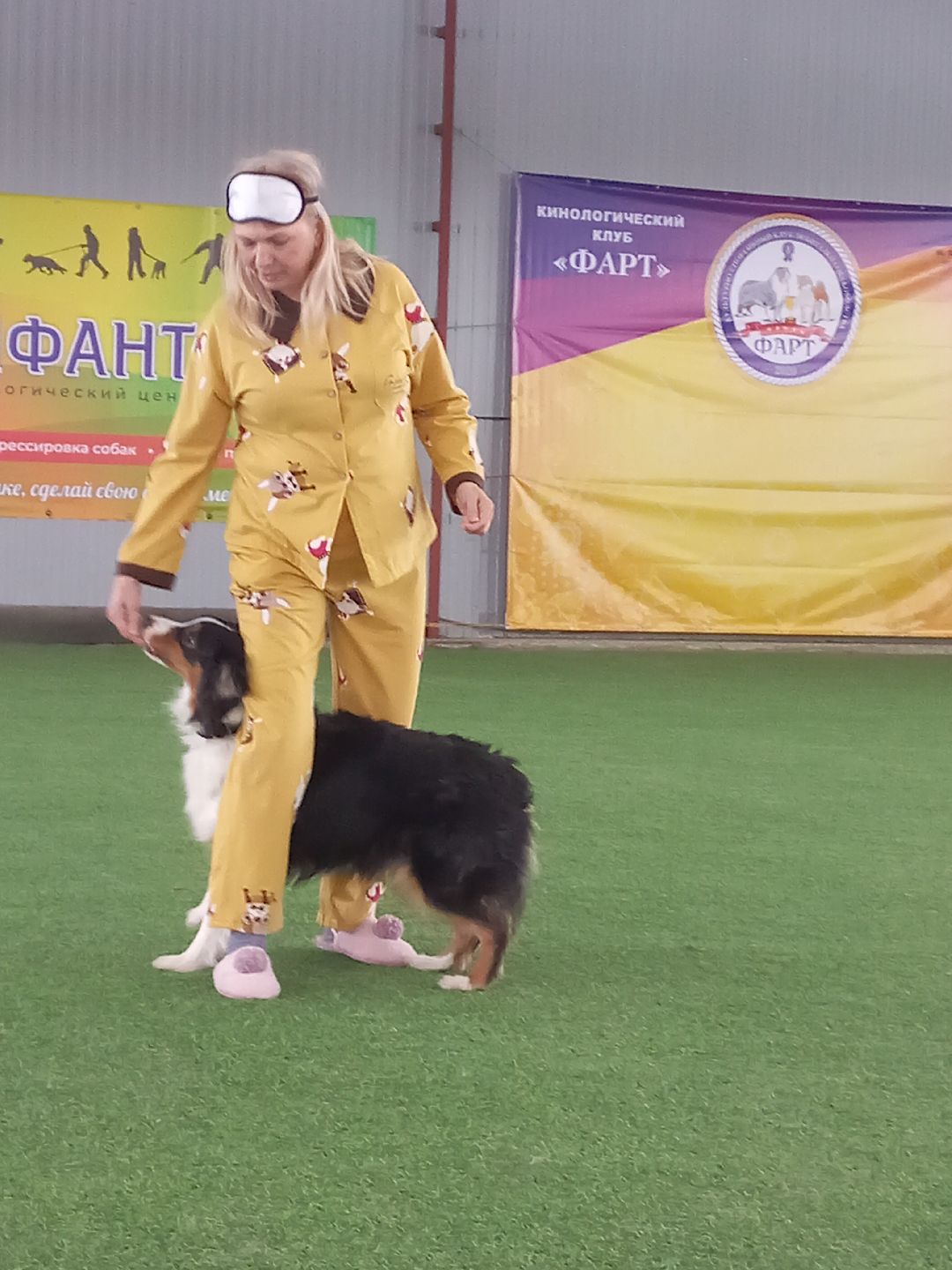 собака, Раменское, танцы с собаками, овчарка