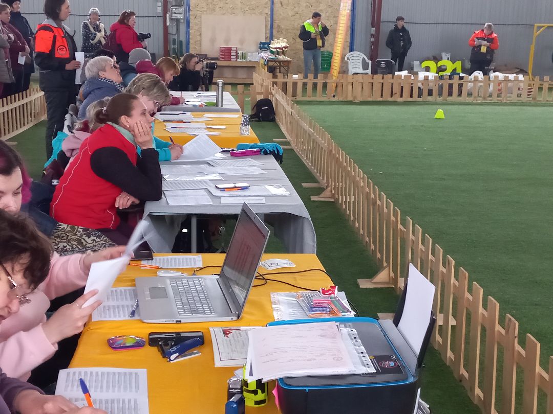 собака, Раменское, танцы с собаками, овчарка