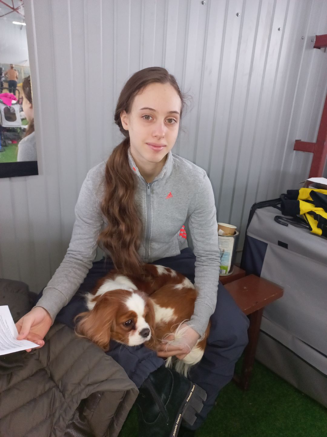 собака, Раменское, танцы с собаками, овчарка