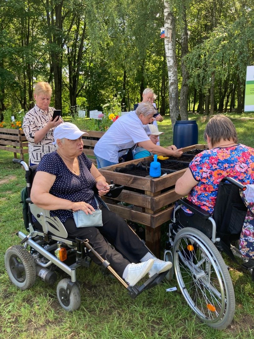 Солнечногорск, парк, инвалиды, огород, общество