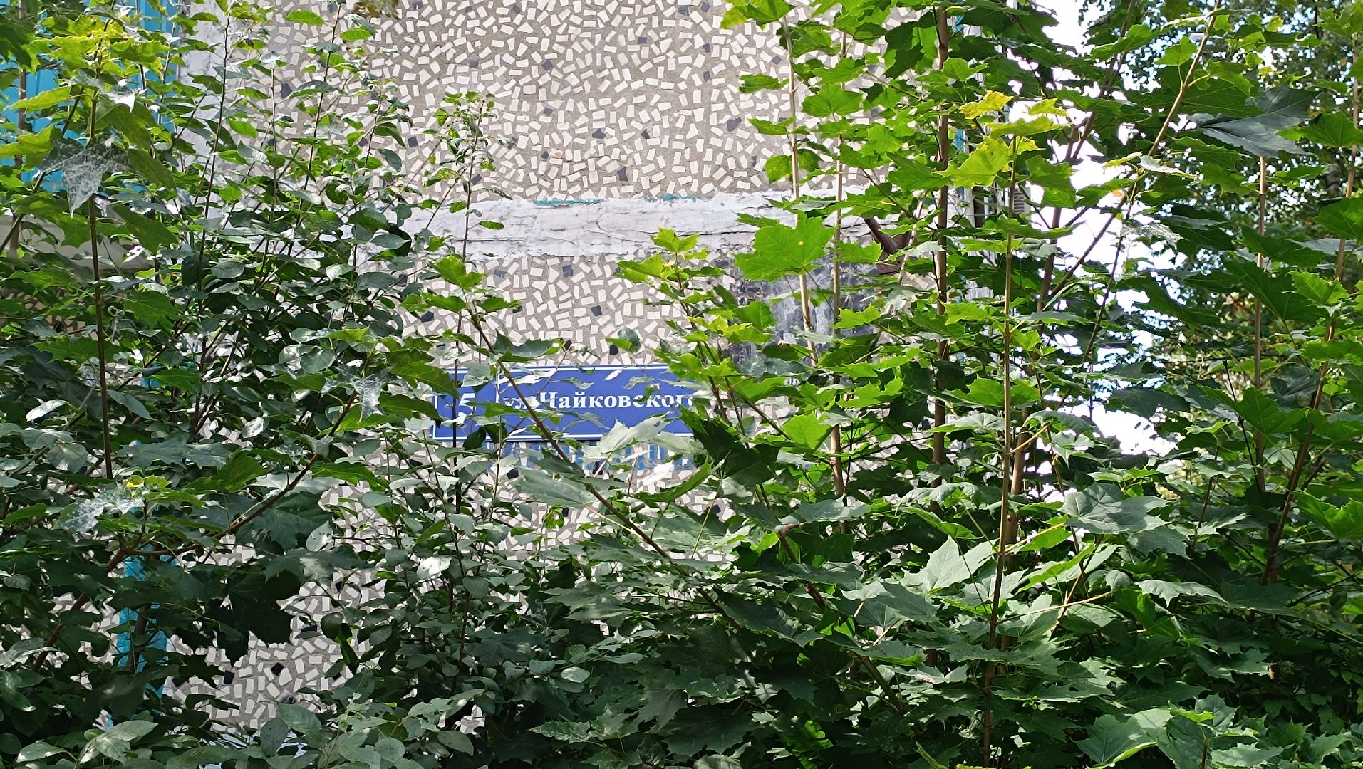 Лобня, ЖКХ, таракан