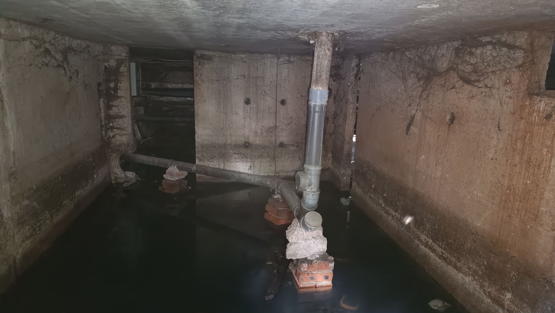 Лобня, ЖКХ, таракан